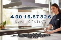 太太油烟机售前咨询热线讲解☞油烟机烟道里隐翅虫的危害及防治方法